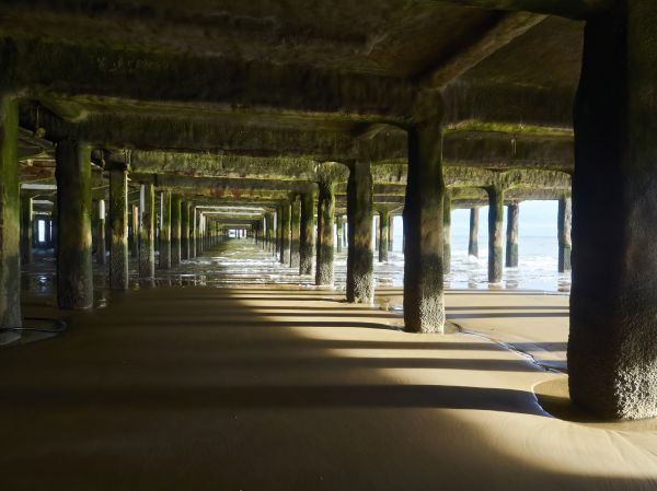 Cost of Concrete Pier Repair in Mason